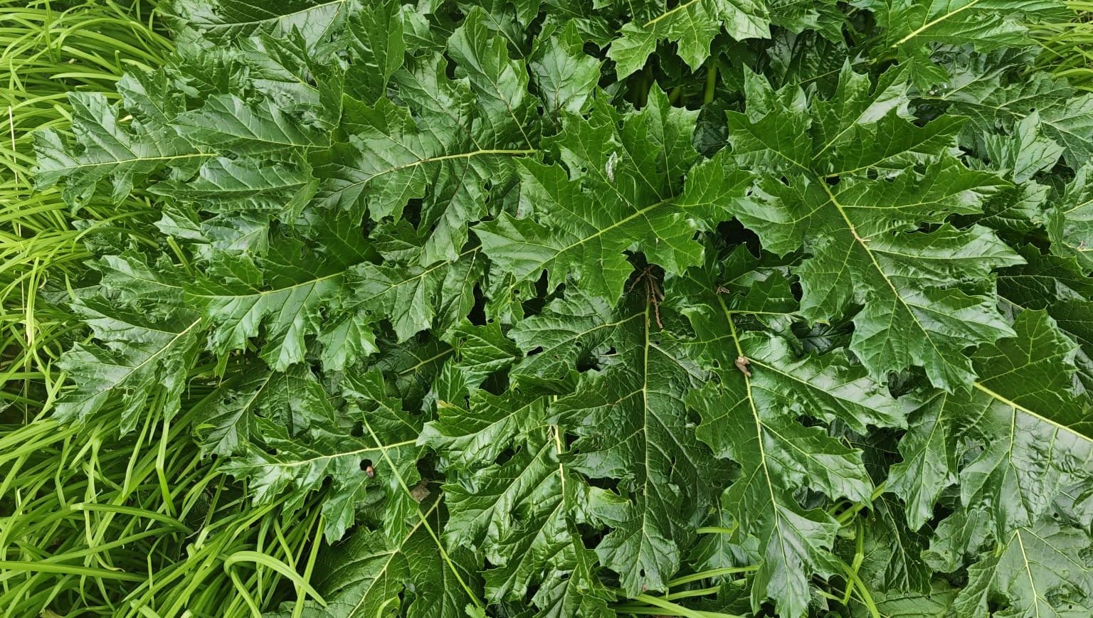 Vad ska vi ha oss till?